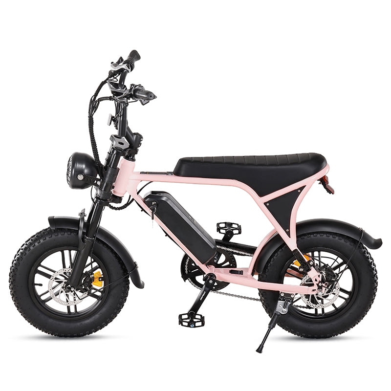 C80 MINI 2025 MODEL - FATBIKE