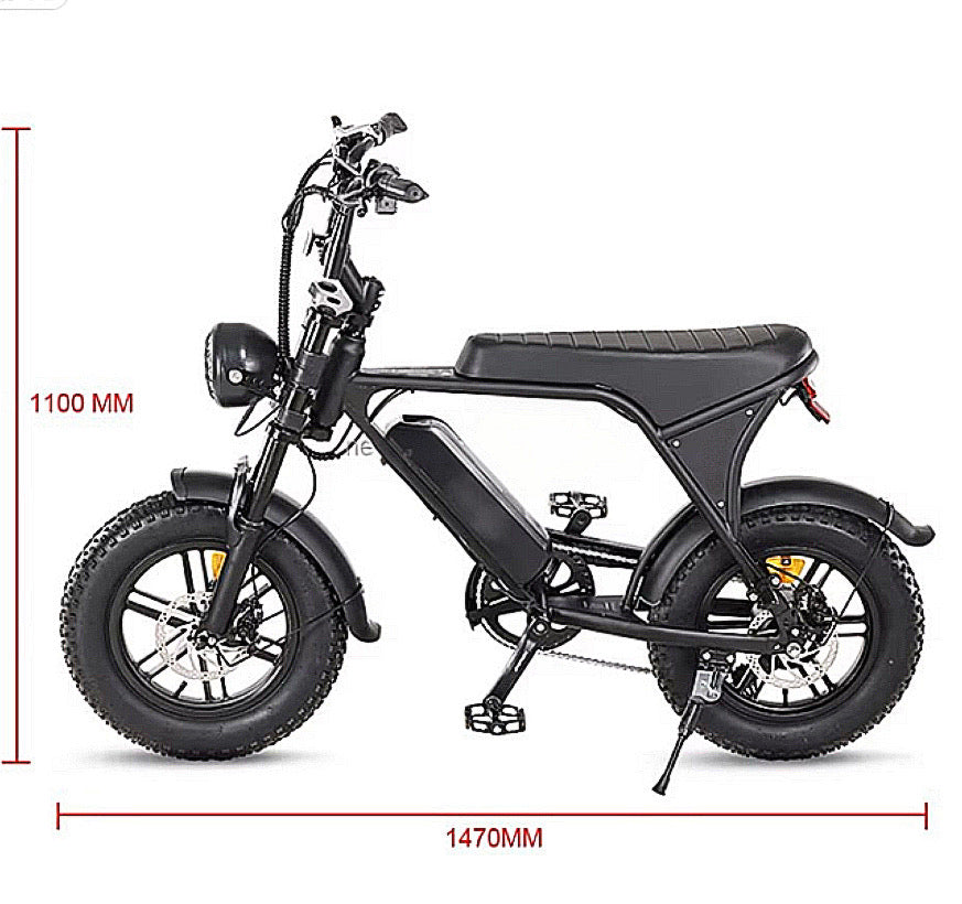 C80 MINI 2025 MODEL - FATBIKE