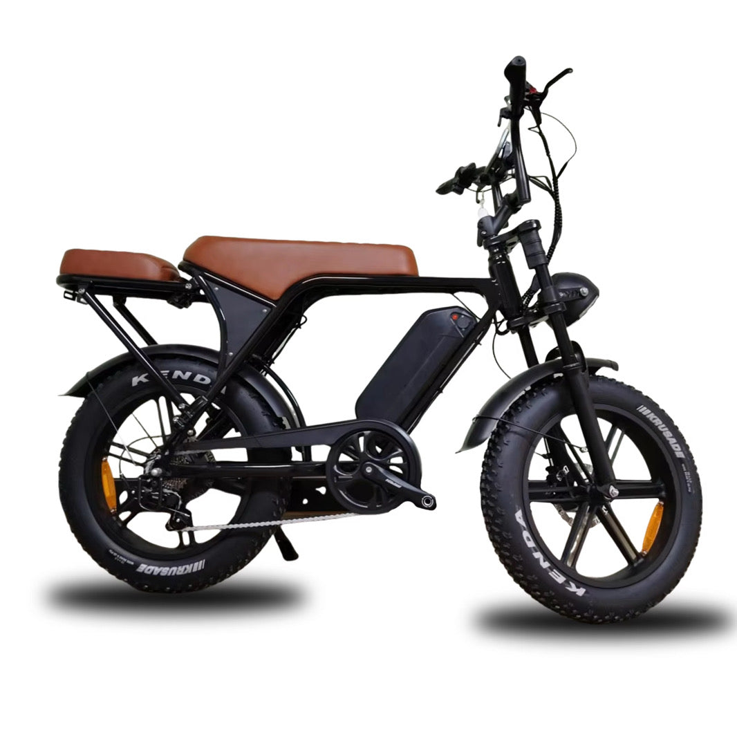 C80 2025 MODEL - FATBIKE