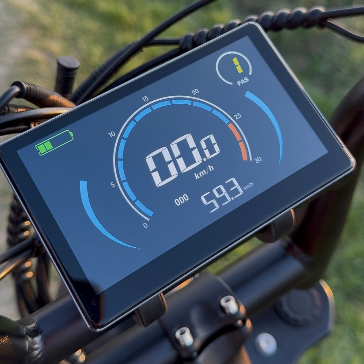 C80 MINI 2025 MODEL - FATBIKE