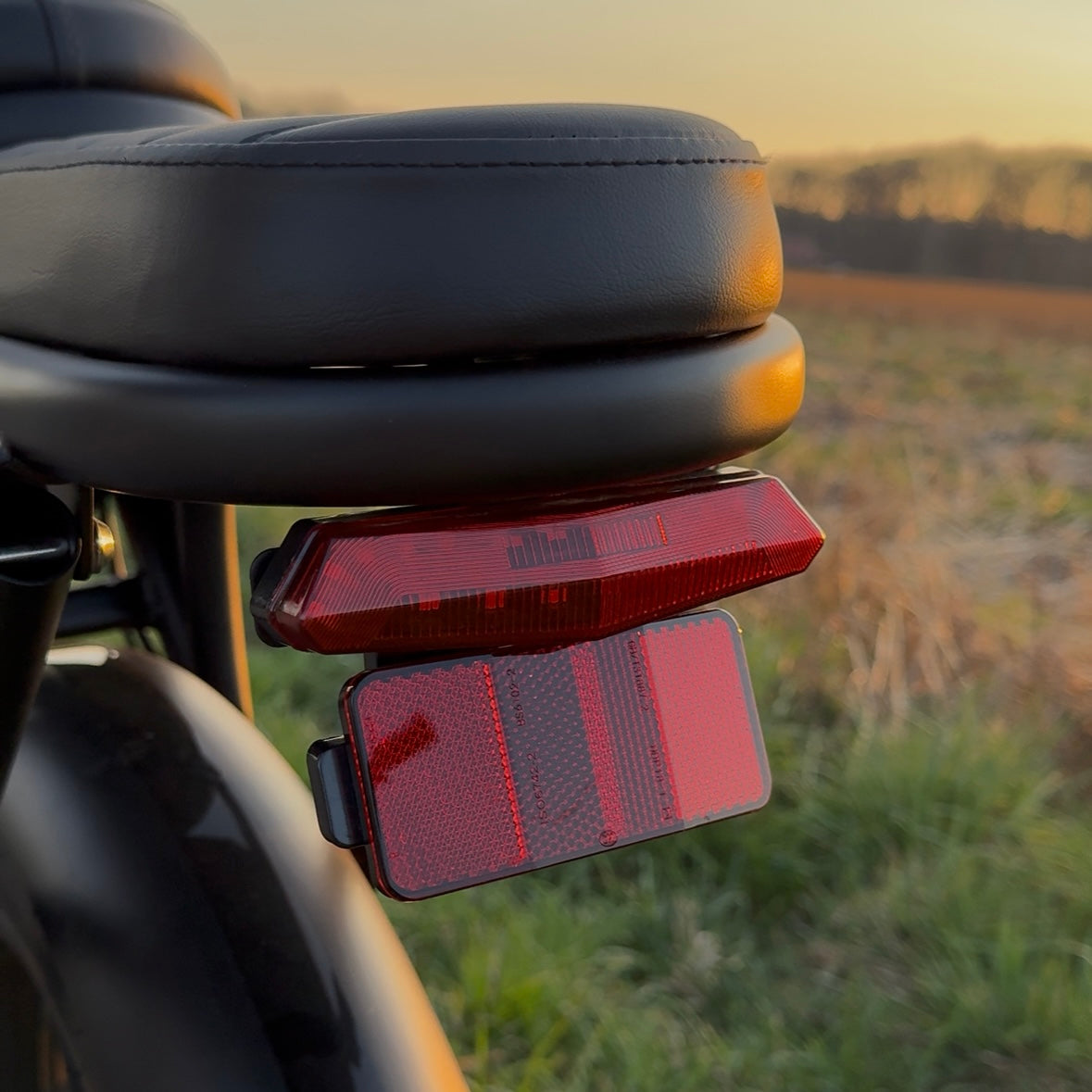 C80 2025 MODEL - FATBIKE