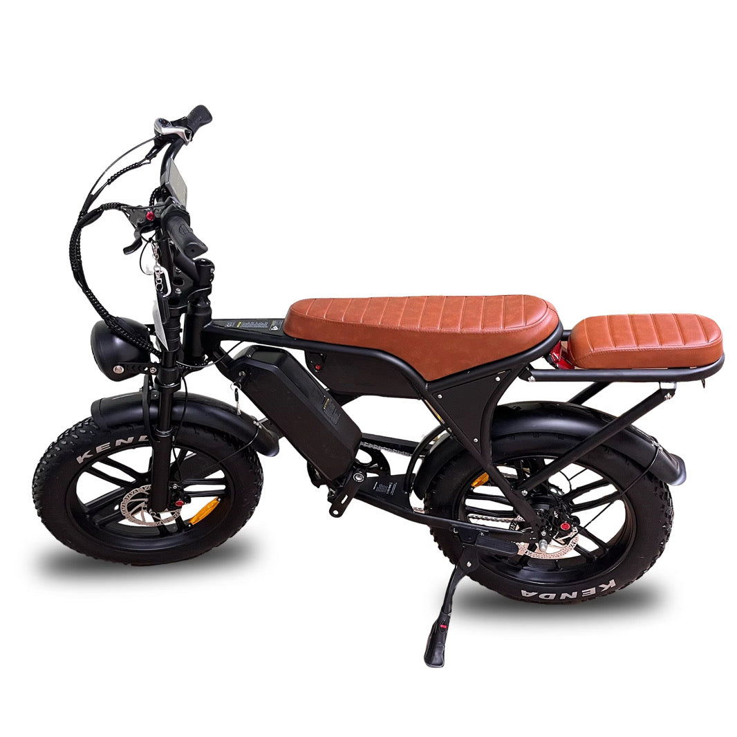 C80 MAX 2025 MODEL - FATBIKE