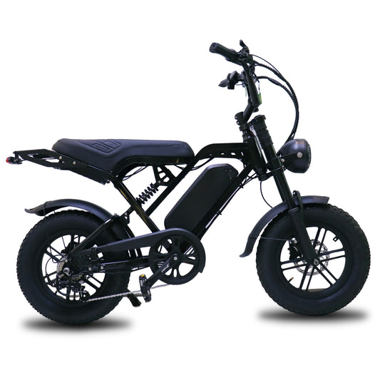 X80 MINI 2026 MODEL - FATBIKE