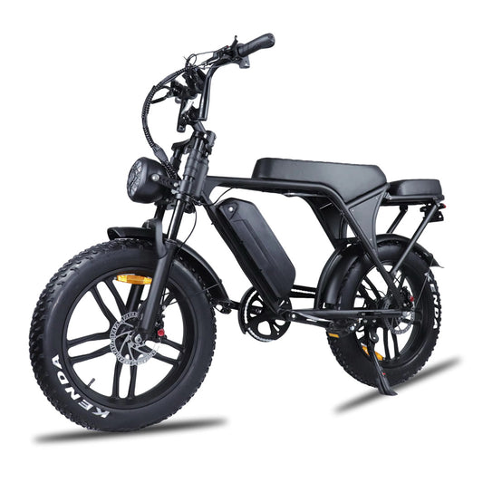 C80 2025 MODEL - FATBIKE