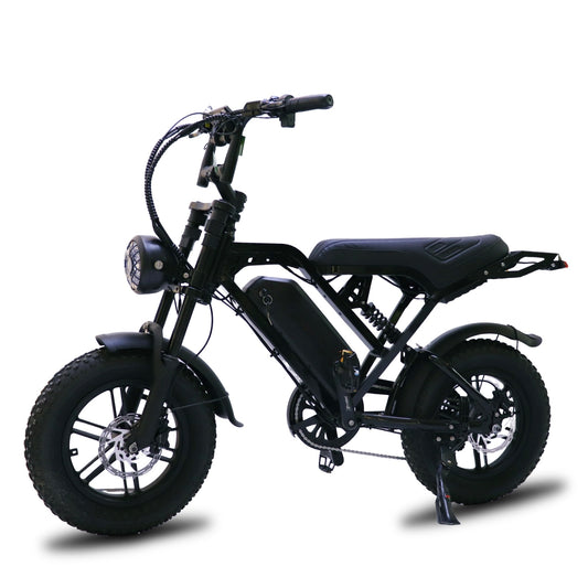 X80 MINI 2026 MODEL - FATBIKE